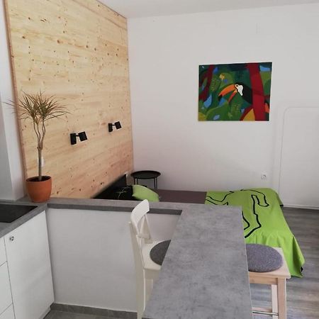 Studio Apartman Fleiss Apartment Samobor Exterior photo