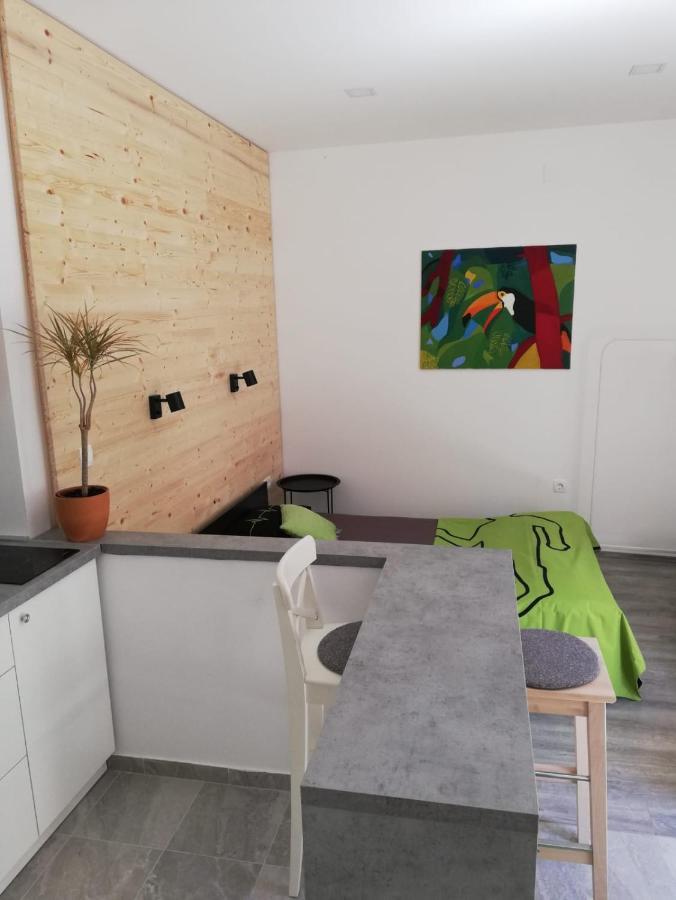 Studio Apartman Fleiss Apartment Samobor Exterior photo