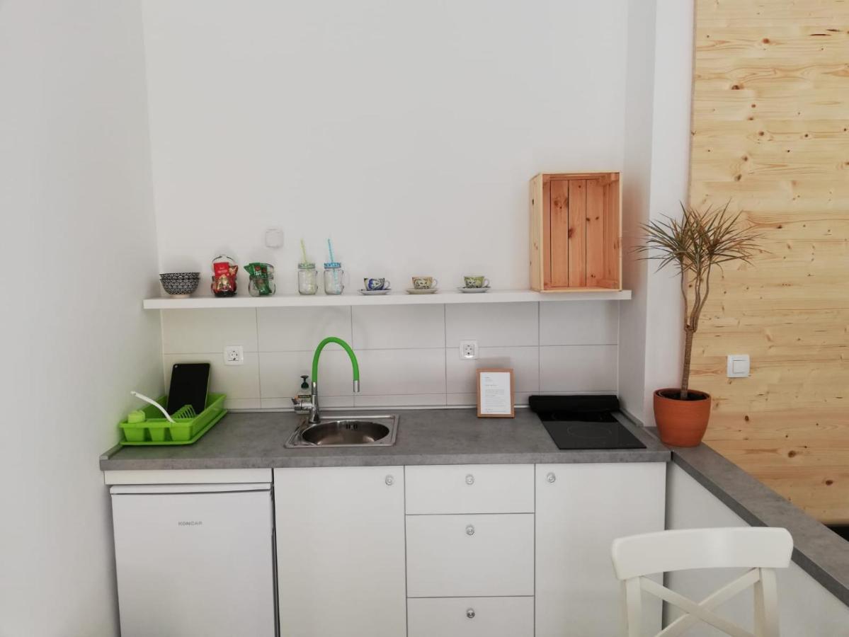 Studio Apartman Fleiss Apartment Samobor Exterior photo